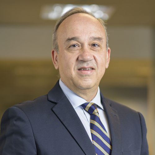 Νίκος Μποτίνης